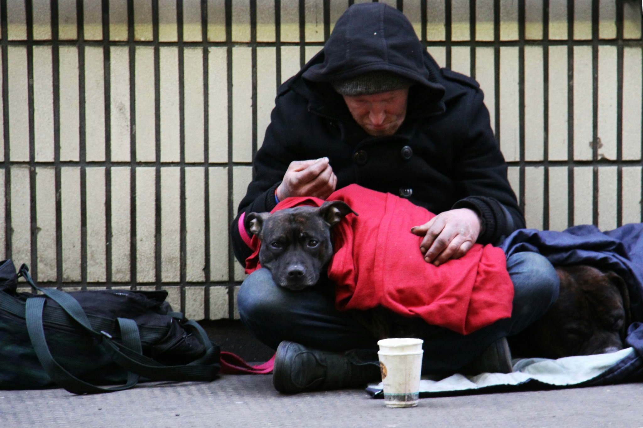 Homme assis au sol avec un chien, enveloppé dans des couvertures pour se réchauffer
